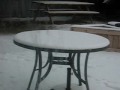 Pitbulls Playing in the Snow