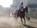 CALA DE CABALLOS