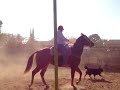 CALA DE CABALLOS