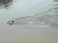Freestyle Swim Drills for Triathletes Part 1 Freestyle Swim Drills for Triathletes Part 1