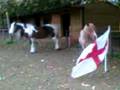 ILPH April plays with the flag