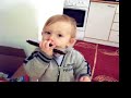 max sviri armonika