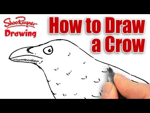 Learn how to draw a Crow - real time tutorial