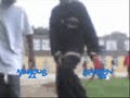 Ephren And Marcus-Crank Dat Superman-Spiderman