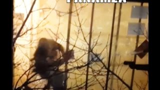 France 5 a censuré les images de Coulibaly, les poignets menottés !