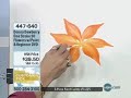 donna-dewberry-one-stroke-50-flowers-with-paint-and.html