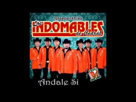 Los Indomables Del Cedral - Celos Injustos ((2013))