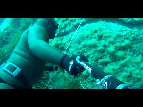 vidéos chasse sous marine hd - chasse sous marine en corse team sigalsub fred ferri pisani.