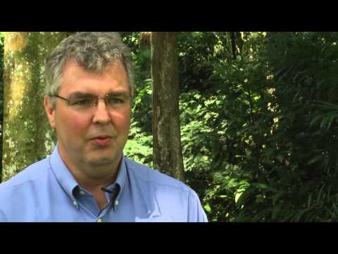 CIFOR - Peter Holmgren, Director General of the Center for International Forestry Research (CIFOR) shares his views on the first International Day of Forests: why we...