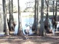 Vacation to South Carolina