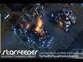 Creators of StarCraft 2 web comic fftcomics.com interviewed Creators of StarCraft 2 web comic fftcomics.com interviewed