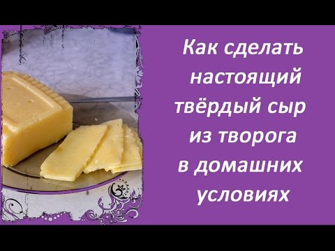 Как сделать твердый сыр в домашних условиях Как сделать твердый сыр в домашних условиях