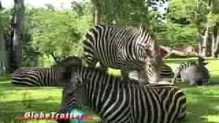 GlobeTrotter Jon Haggins TV in Zambia, Africa