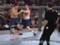 Best of Tank Abott