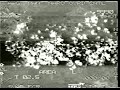 MiG 29 Fulcrum, May 19th 1999