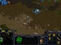 Starcraft Combat-EX TvZ G122 P1 w/Commentary