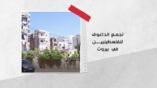 تجمع الداعوق للاجئين الفلسطينيين