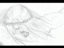 Metamorfosis evolucionada