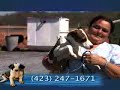 Kingsport Animal Shelter EP1
