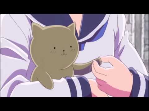 italy being hurt by a cat