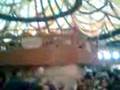 videos de OKTOBERFEST 2008