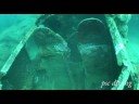 ??????????????(Papua New Guinea  Diving ?