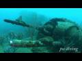 ダイビング 海に眠る爆撃機 (Papua New Guinea Diving )