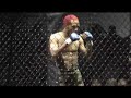 blood ballet: mma to canon in d