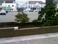 videos de ollie