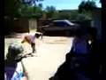 capoeira de maluco