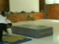 videos de MOV00032.3gp
