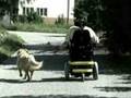 Levo Standing Wheelchair