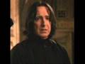 Harry Potter/Deathly Hallows Rock Tribute