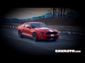 Cavauto VIDEO