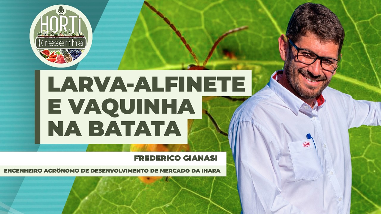 HORTI RESENHA #148 - Controle da larva-alfinete e da vaquinha na batata