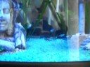 64 Litre tropical tank 2