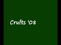  golden retriever crufts 2008 show results thevenet