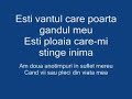 Dj Project - doua anotimpuri(karoke)