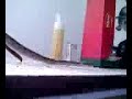 YouTube - serpe pitone reale e boa constrictor.flv
