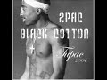 2pac Black Cotton (Remixx) 2pac Black Cotton (Remixx)