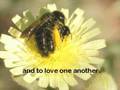 Oneness