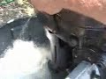 Mercury 20 hp update...FIXED!!! Mercury 20 hp update...FIXED!!!