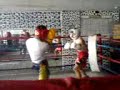Boxing, floyd mayweather, gab rosales, puchout