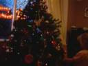 Decorating the Tree Decorating the Tree