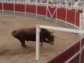 concurso de recortes olite 2007