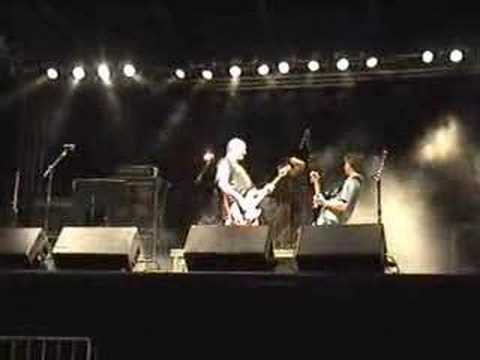 Girassois da Russia - Breaking All ...