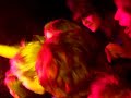 Of Montreal 3 (Requiem for O.M.M. 2)