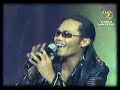 solid gak akar main...