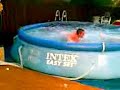 Backflip boys diving in the pool drunk as monkeys BLOXWICH