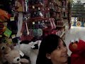 ELMO EL HONESTO